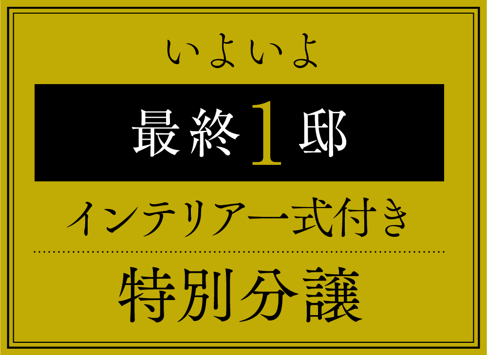 いよいよ最終1邸 インテリア一式付き特別分譲